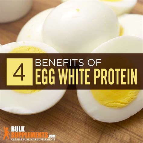 Protein In One Large Egg White at Brooke Fitzroy blog