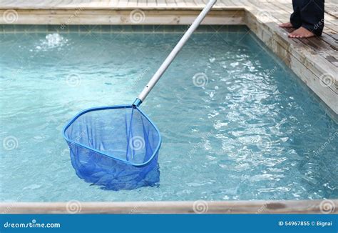 Best Pool Nets For Cleaning at Brenda Edmonds blog