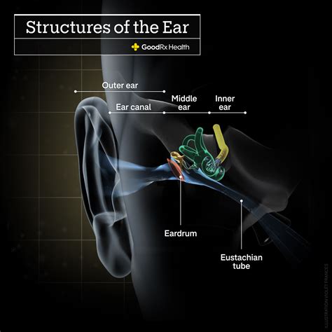 My Ear Feels Clogged