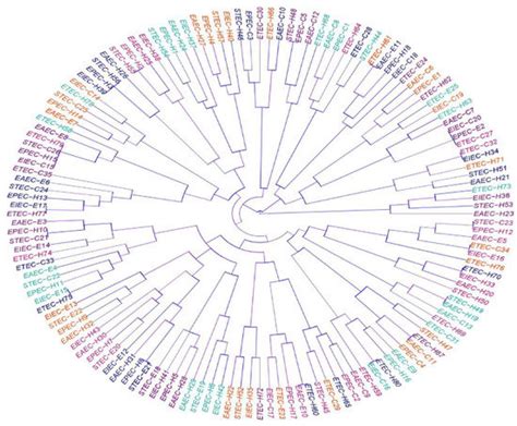 Biology | Special Issue : Microbial Diversity and Microbial Resistance