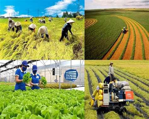 Overview of Vietnam's agricultural regions that you should know | Farmvina