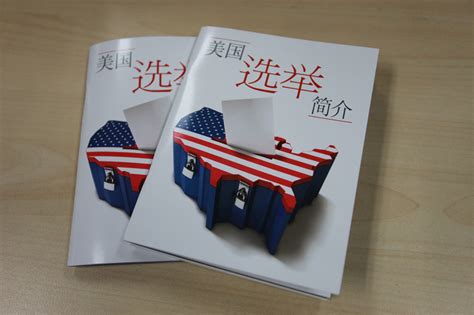 选举 的图像结果