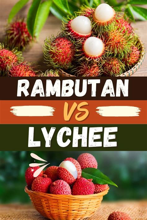 Lychee Vs Rambutan Fruit