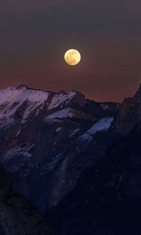 Download wallpaper forest, snow, mountains, night, darkness, rocks, the ...