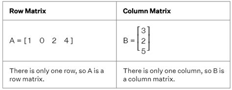 Types of Matrices - Business Mathematics and Statistics - B Com PDF ...