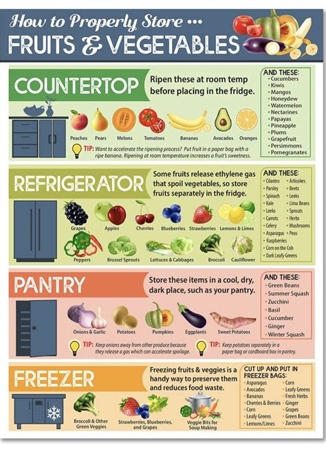 Image result for How to Store Food Properly Chart