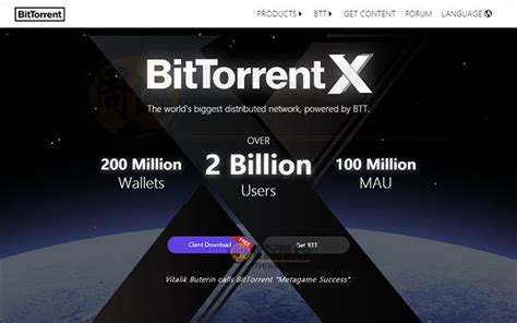 BitTorrent Network 的图像结果