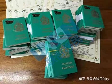 漳州可以异地办理护照嘛 - 抖音