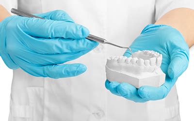 Wisdom Teeth Function 的图像结果