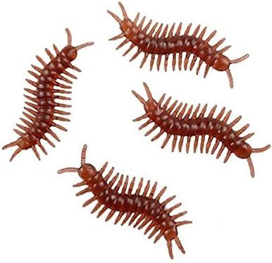 Sujosa 30Pcs Fake Scolopendra Fake Plastic Bugs Insects April Fools ...