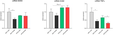 Visceral Adipose Tissue Inflammation and Vascular Complications in a ...