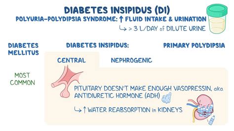 Diabetes Insipidus New Hope For Diabetes Insipidus: Exploring