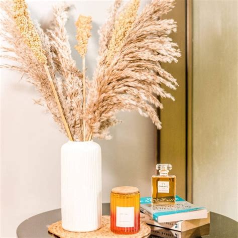 Pampas Corn bunch – https://artecasa.in/