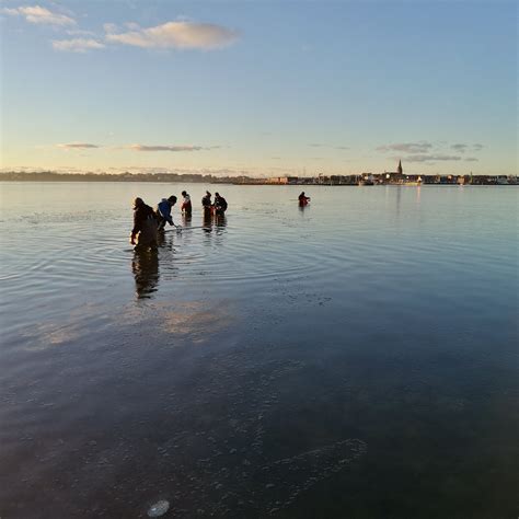 DANSK SKALDYRCENTER (2025) All You Need to Know BEFORE You Go (with ...