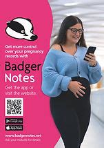 Image result for BadgerNet Script to Access Notes