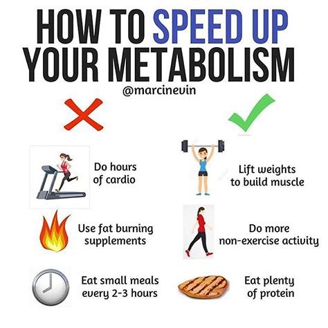 How to Speed Up My Metabolism | PS Fitness
