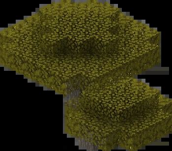 Image result for Minecraft Tree Guide