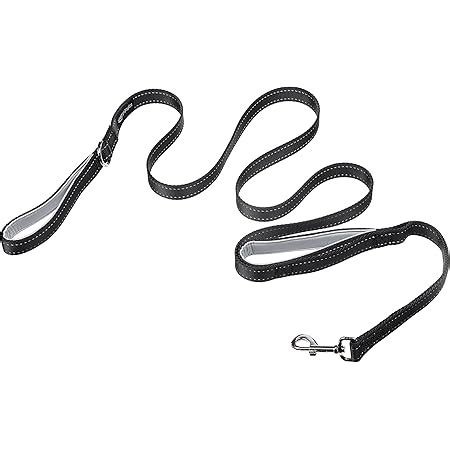 MS PET HOUSE Padded Dog Training Lead Dog Leash Long Leash 10 Ft Long ...