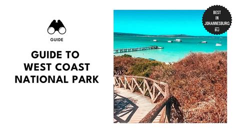 Everything You Need to Know About West Coast National Park