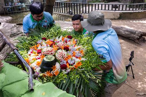 Moo Deng Turns 1! Viral Pygmy Hippo Celebrates Birthday with 4-Day Party