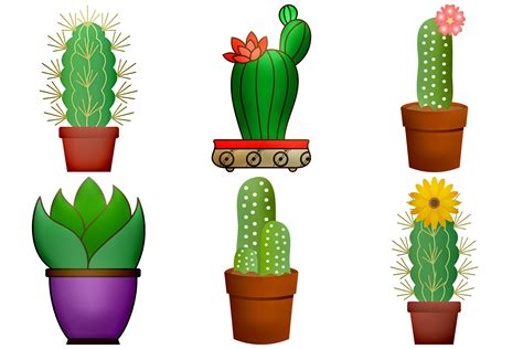 Cactus Illustrations Clip Art (246548) | Illustrations | Design Bundles