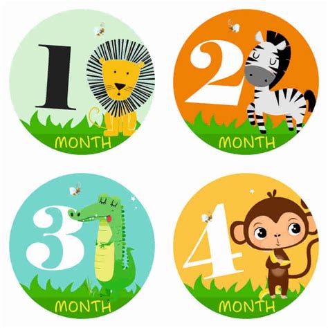 Monthly Milestone Stickers - Safari Theme – Babble Wrap