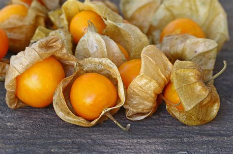 How To Grow Ground Cherries