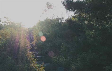 Freelance SEO-specialist | Hapklaar