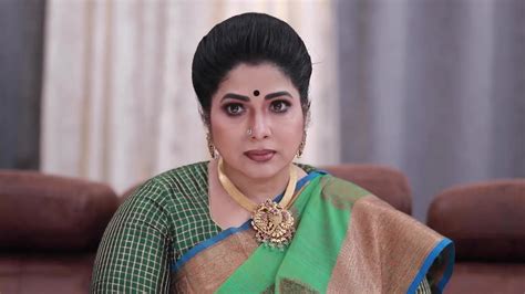 Varisu TV Serial Online - Watch Latest Show Episodes on ZEE5