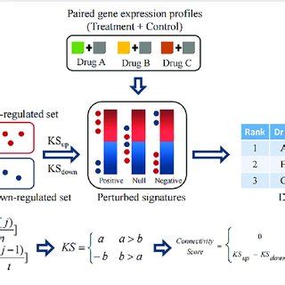Connectivity Map 的图像结果