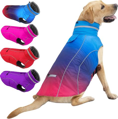 Amazon.com : Doglay Dog Coats - Waterproof Winter Jacket with Pocket ...