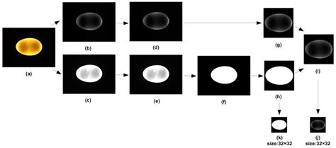 Using an Optoelectronic Method for Non-Destructive Sorting of Hatching ...