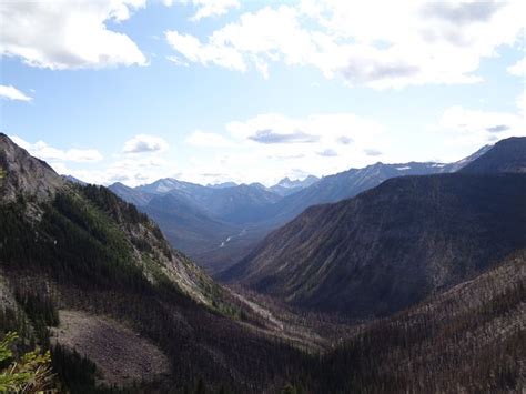 Banff Sunshine Meadows - 2021 What to Know Before You Go (with Photos ...