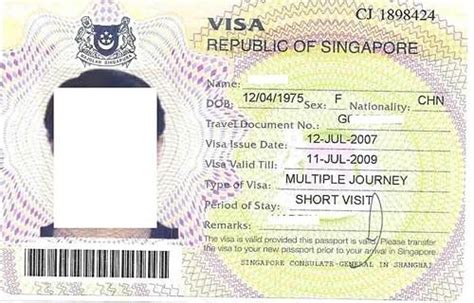 新加坡电子签证_新加坡电子签证网站_淘宝助理