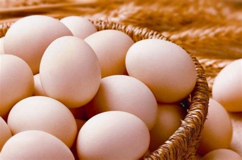 买鸡蛋，白壳比红壳好？土鸡蛋好不好？养鸡大妈告诉你，不被忽悠|土鸡蛋|白壳蛋|白霜_新浪新闻