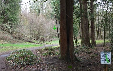 Hole 13 • Dabney State Park (Troutdale, OR) | Disc Golf Courses | Disc ...