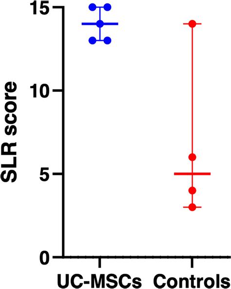SLR Testing 的图像结果