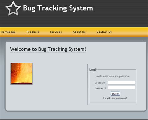 Image result for Bug Tracking System Java