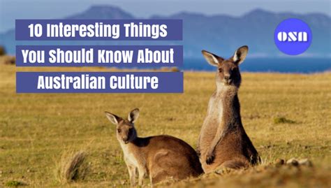 Aussie Vibes: A Tapestry of Culture Echoing Around the World