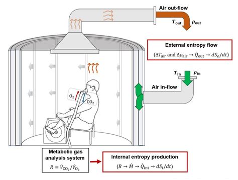 Entropy Experiments at Home Example 的图像结果