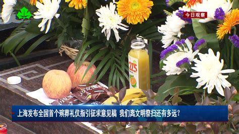 落叶归根 融于自然 一场特别的树葬仪式在成都金沙陵园举行 - 四川 - 华西都市网新闻频道