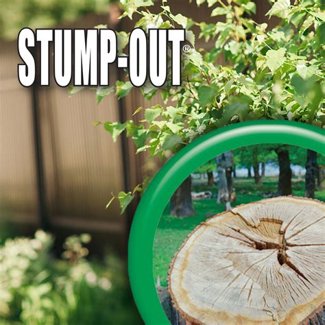 Diy Stump Removal