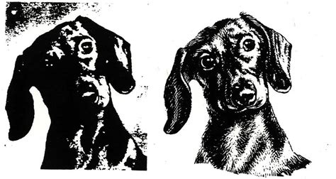 Image result for Scratch Art Examples