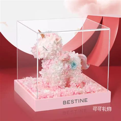 道歉要带什么礼物最新素材