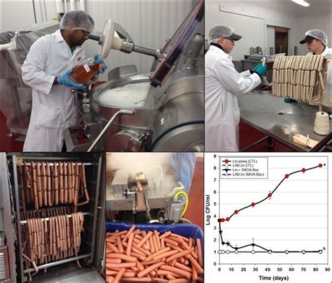Inhibition of Listeria monocytogenes on Ready-to-Eat Meats Using ...