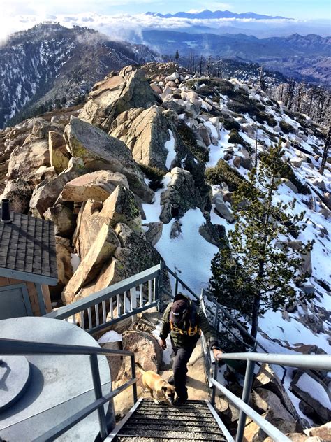 Best Hiking Trails in Big Bear Lake - The Hungry Mountaineer