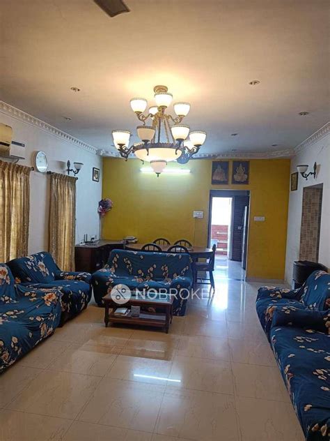 Alpha Olive Golden George Nagar Rent - WITHOUT BROKERAGE Semi-furnished ...