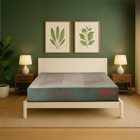 Repose Eyelidz Orthopedic Memory Foam Mattress for Back & Joint Pain ...