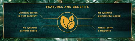 Buy Indulekha Anti Dandruff Shampoo 200 ml| for Dandruff Control| With ...