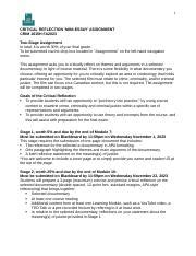 Critical Reflection Assignment 的图像结果